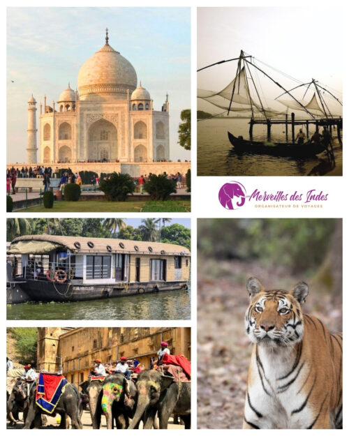 Merveilles des Indes
